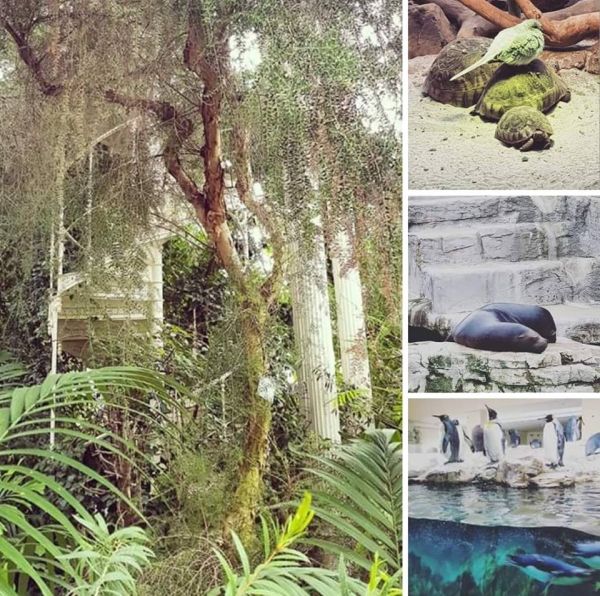 Wiedeń Zoo i palmiarnia