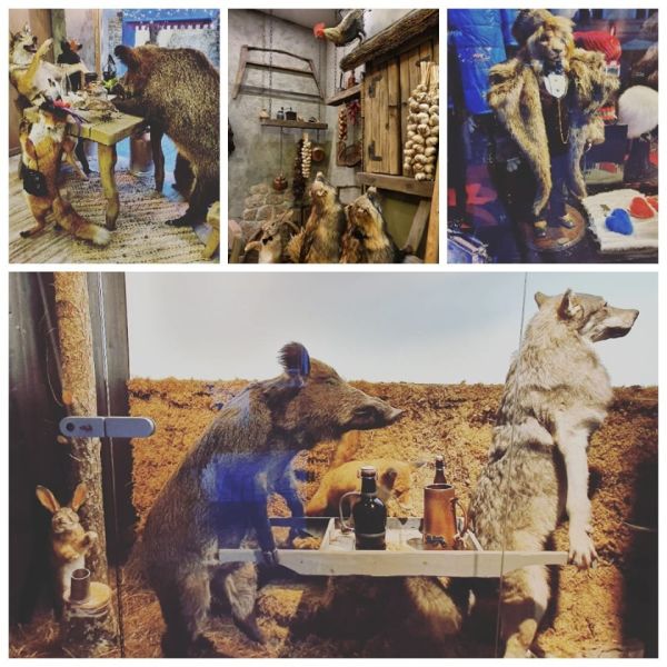 Tallinn wystawy sklepowe