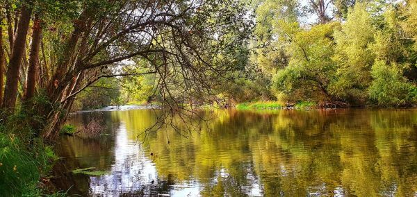 Girona trasa spacerowa